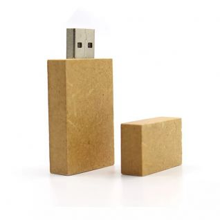 Biodegradable USB Flash Drive