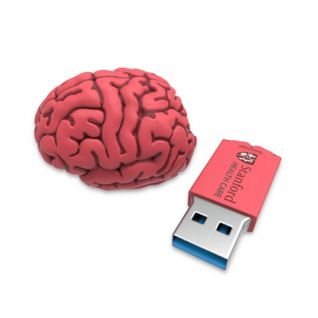 brain shaped USB drive