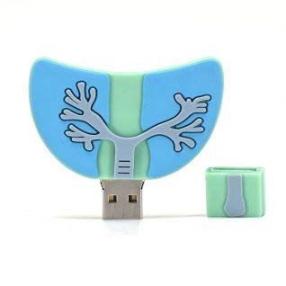 lung shaped USB drive